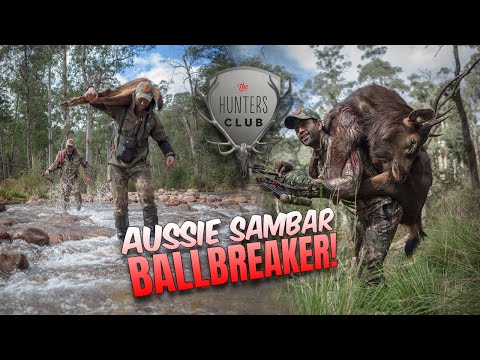 The Aussie Sambar BALLBREAKER! Chasing Stags on Bow in the Snowy Mountains