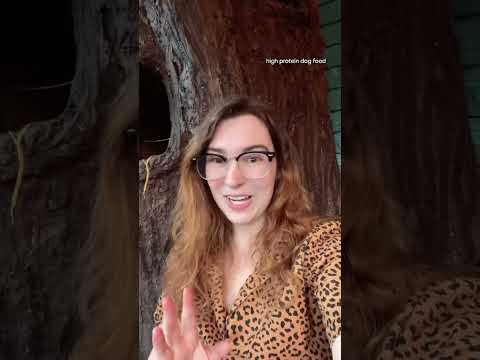 Proper Diets for Raccoons in Captivity #animals #raccoon