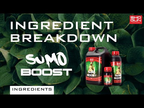 Ingredients Breakdown SHOGUN Sumo Boost - Flowering Booster