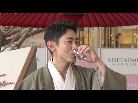 Cherry blossom trees on display at Nishinomiya Gardens; actor Kotaro Koizumi makes an appearance.