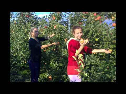 Jarek Nohavica - Píseň o příteli (V. Vysockij)