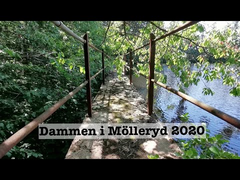 DEN GAMLA DAMMEN vid Sågverket MÖLLERYD - Johannishus - 200709 - RONNEBY - Blekinge - Huawei P30 PRO