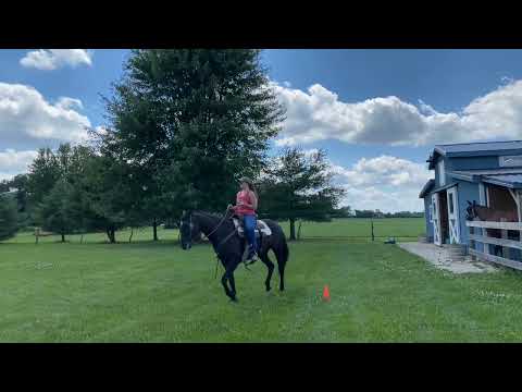 Megan Kane & Oh Cay Mega Star WJ Western Horsemanship - June 2024