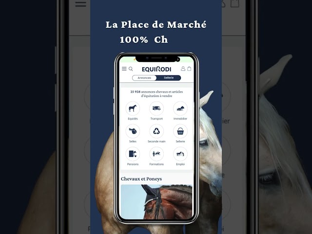 Cavalla Palomino (Race) In vendita 2022 Sauro