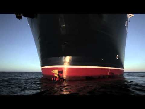 Swimming against the tide