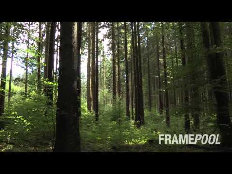 Where fairies and dwarfs live | Framepool