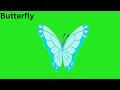 Butterfly Green Screen Full HD Video Download Green Screen Video