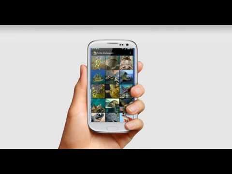 Turtle Wallpapers Video