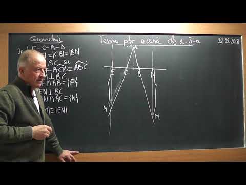 1/2 1689 Clasa 6 Congruenta triunghiurilor Linii importante in triunghi Perpendiculara intr-un punct