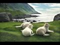 Pan Jest Pasterzem Moim.wmv 