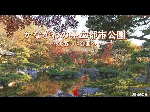 かながわの県立都市公園～秋を探しに公園へ～