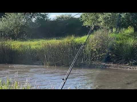 🎣Pesca de Bagres en La Coronilla, Rocha - Uruguay 🇺🇾 