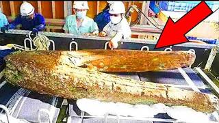 Mysterious Objects Found in Places That Were Sealed for Decades