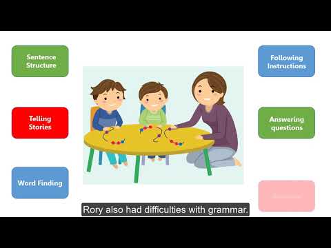 Developmental Language Disorder - What is it?