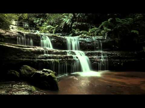 Leonid Kogan - Rachmaninoff - Trio Elégiaque No 2 in D minor, Op 9