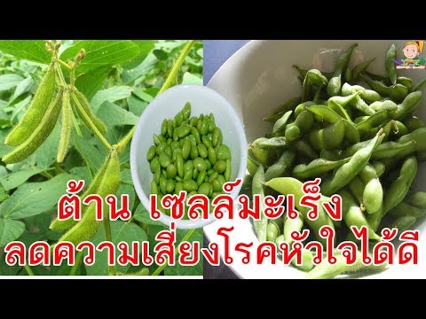 เป็นยาสมุนไพรสำหรับความอ่อนแออะไร สมาชิก 15 น้อยหรือมาก
