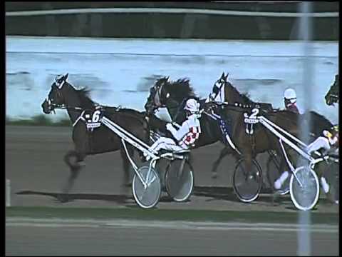 Trotto 01/11/2015 - 7° corsa