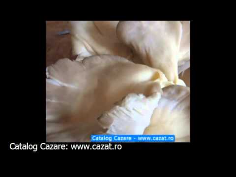 Cazare Sarbi, Vrancea - Cazat.ro