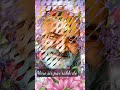 Neem Karoli Baba Mere Sir Par Rakh Do Whatsapp Status