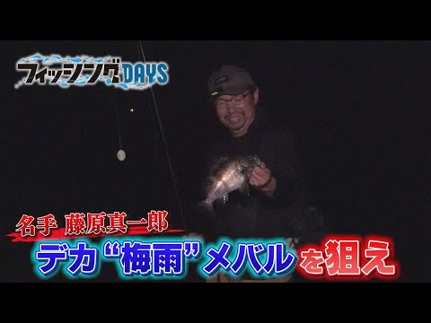 【フィッシングDAYS】#108 実は絶好機なんです！　藤原真一郎が攻める梅雨メバリングの法則