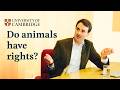 Animal Rights Law At Cambridge University
