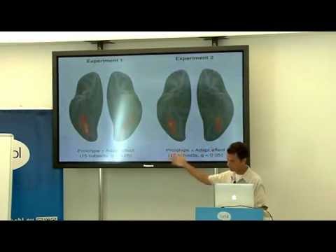 Day 3/4 - fMRI - Functional Magnetic Resonance course @ BCBL.