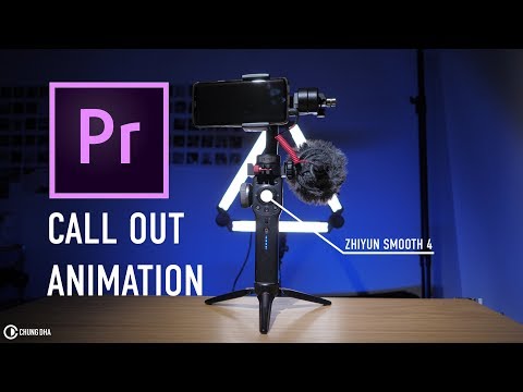 Call Out Animation Premiere Pro Tutorial // Chung Dha
