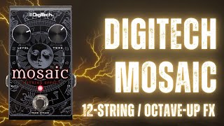 DigiTech Mosaic - What To Know & Where To Buy | Equipboard