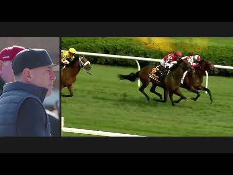 Global Gr.1 Winners at the Tattersalls October Yearling Sale