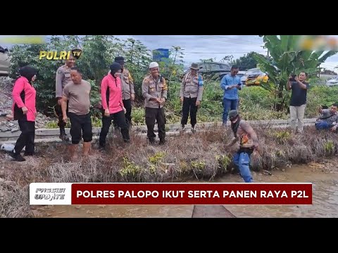 PRESISI UPDATE: POLRES PALOPO IKUT SERTA PANEN RAYA P2L PERIKANAN 06/02/2025 16.00