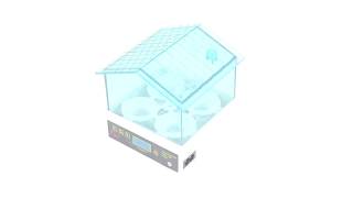 Egg Incubator - 4 Chicken Eggs
