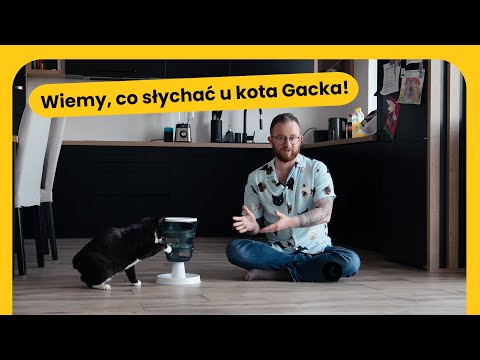 We know what's up with Gacek the cat. Szczecin's most famous celebrity lives like a king.