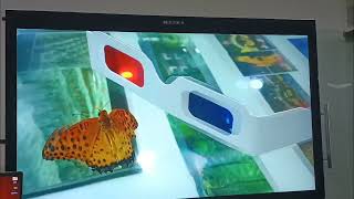 How easy to play 3D photos with ProMa New Generation 3D Monitor 32NG?