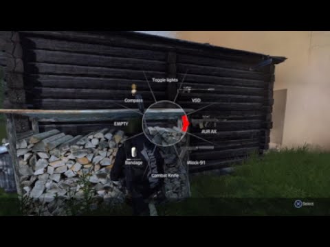DayZ Flashbang