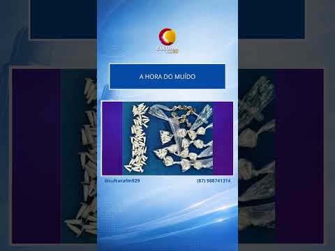 PM apreende quase 200 pinos de cocaína após perseguição em São Benedito do Sul