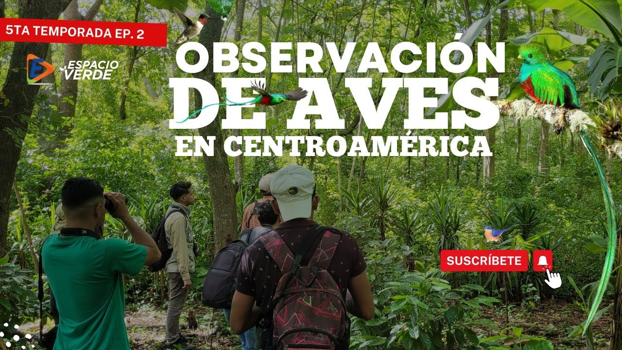 T5. Cap. 2 | Observación de aves en Centroamérica