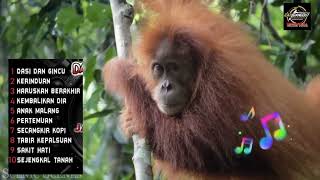 Download lagu DASI DAN GINCU - DANGDUT KOPLO RAMPAK KENDANG BLEKUK 2024 | DANGDUT LAWAS mp3