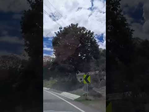 vamos para pitalito desde  la villa de la gaitana , timana Huila Colombia #turismo  #paratiiiiii