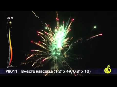 8011 Вместе навсегда