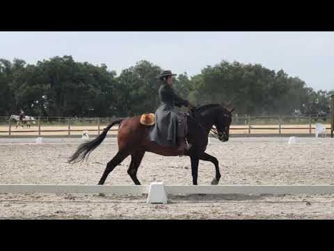 Prova de Ensino - Nicole e Habil de Sena