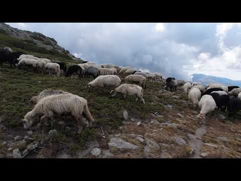 CORSICA | GR20 South | 2021 | 4K