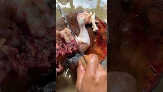 Download lagu Cut KFC chicken into 12 parts, chicken cutting skills #cuttingskills #chicken #shorts #short mp3