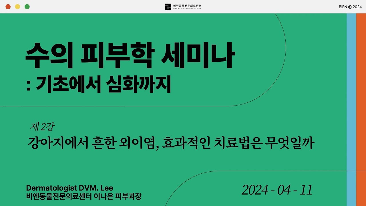 비엔 수의 피부학 세미나 2강 : 강아지에서 흔한 외이염, 효과적인 치료법은 무엇일까 240411