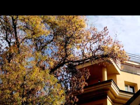Sofia entre Maria Luiza-Vasil Levski e Dondukov-Slivnitsa parte 1