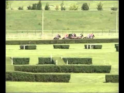 Hipodrom Most.Dostihy 31.05.2014.3.Cena společnosti Transroll