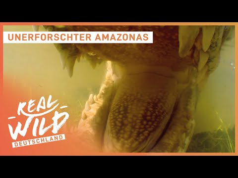 Unerforschter Amazonas - Ganze Folge