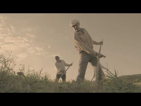 Crenguță de iederă și Maria Iliuț - Pe marginea pădurii - teaser