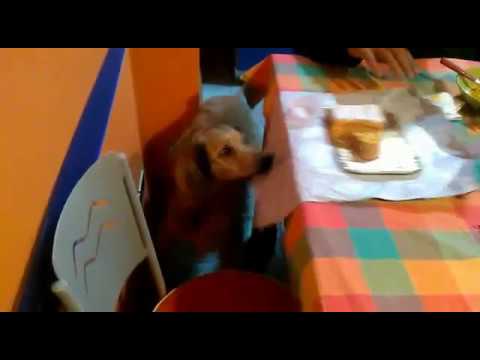 16 anni e 8 mesi, ma nn sentirli.