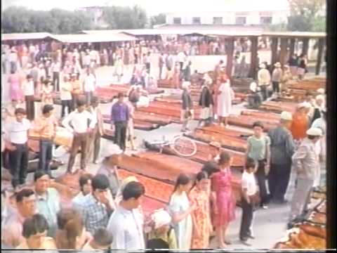 Silk Road II - Episode 9: Across the Steppes