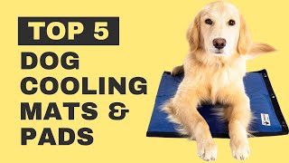 Top-Rated Dog Cooling Mats & Pads ( Reviews & Buying Guide )